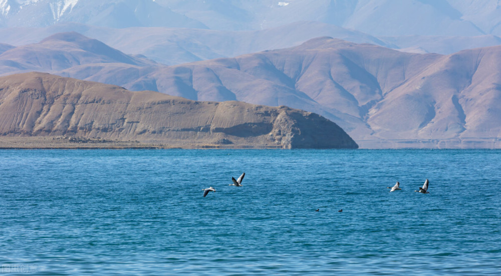 中印边界的班公湖