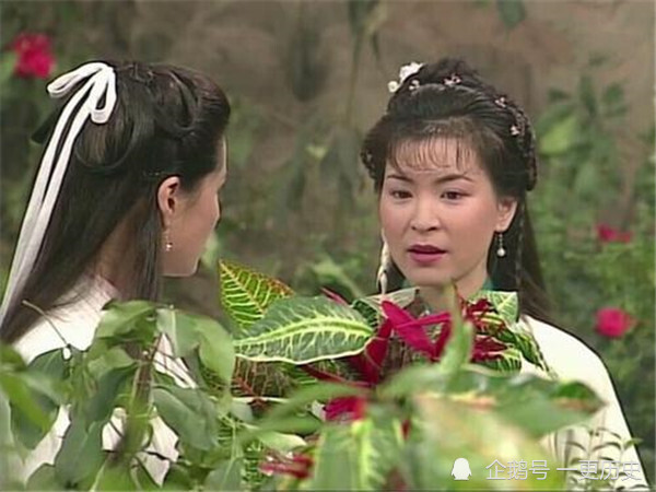 杨过|一见杨过误终身，公孙绿萼：我用一生，还你一笑之恩