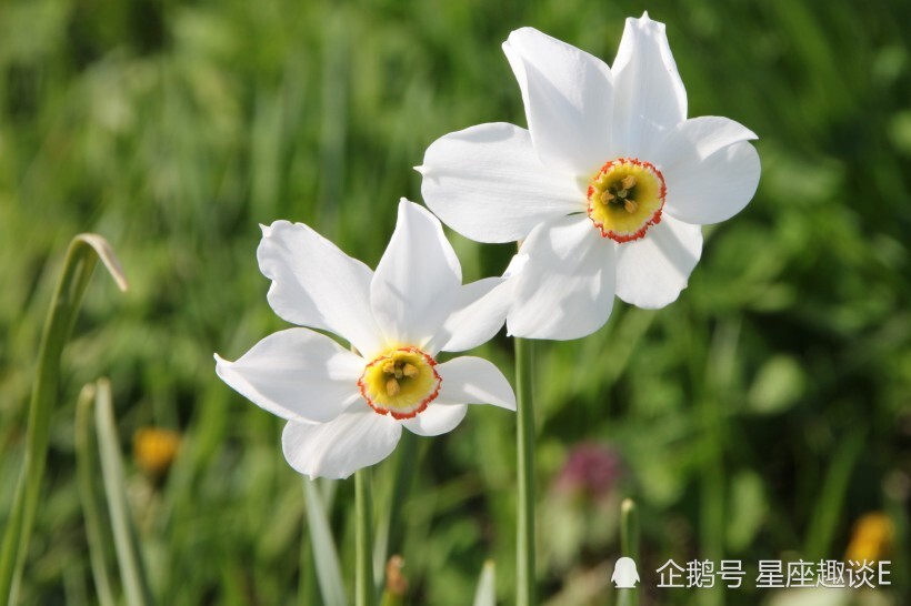 9月2日星座运势 金牛热情高涨 狮子乘胜追击 水瓶乐观积极 腾讯新闻