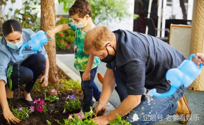 哈里梅根|哈里梅根十分无奈，新家并没能阻挡媒体，邻居希望他们尽快回国
