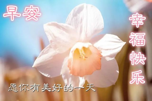 清晨早上好吉祥问候图片大全带字微信早安问候语大全