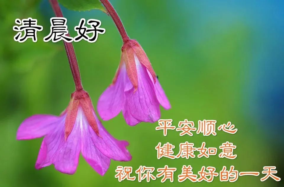 清晨早上好吉祥問候圖片大全帶字 微信早安問候語大全