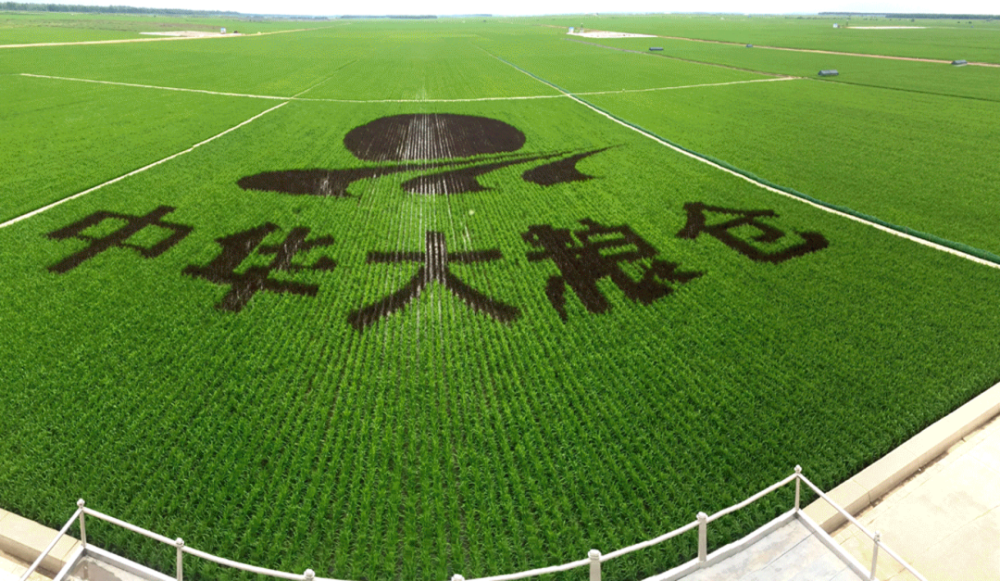 三江平原土壤图片