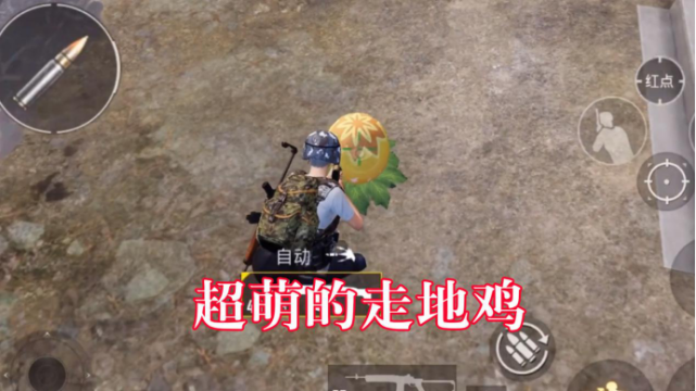 和平精英:9月新版本来了!超萌的走地鸡,还能获得意外惊喜