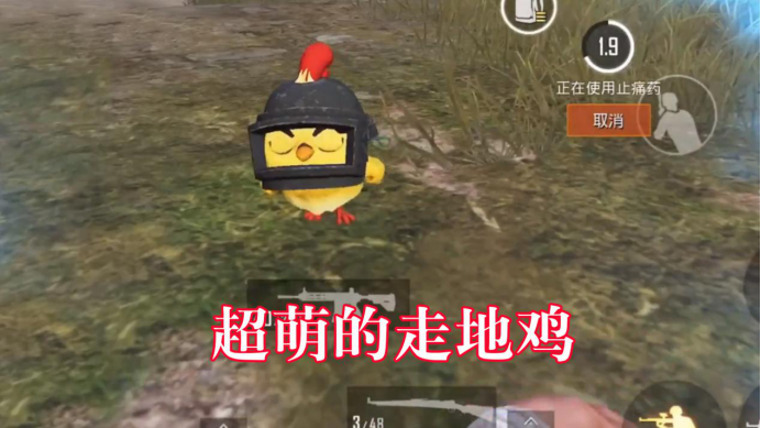 和平精英:9月新版本来了!超萌的走地鸡,还能获得意外惊喜