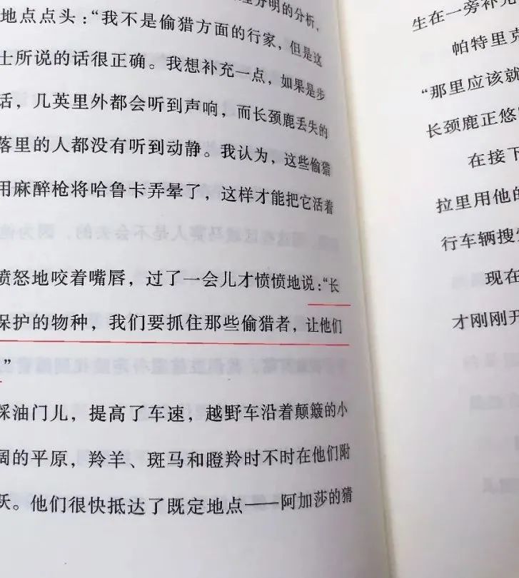 小侦探阿加莎|小侦探阿加莎：意大利国宝级别的青少年侦探小说