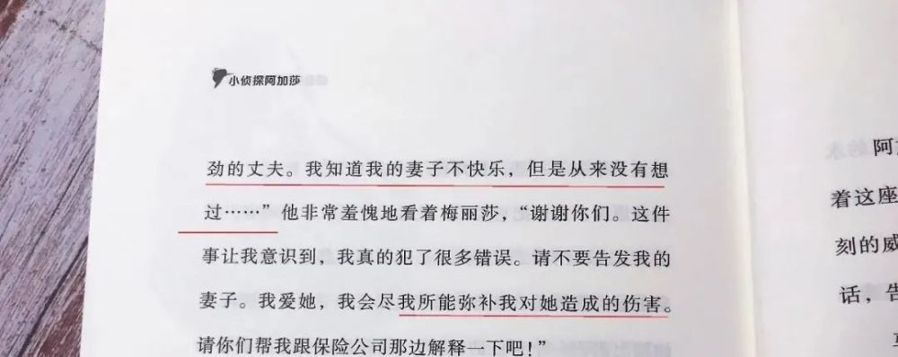 小侦探阿加莎|小侦探阿加莎：意大利国宝级别的青少年侦探小说