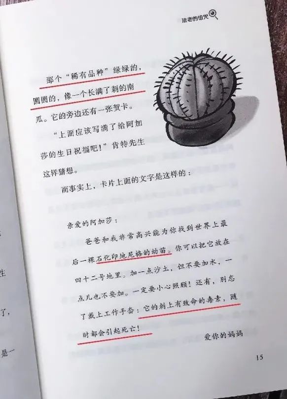 小侦探阿加莎|小侦探阿加莎：意大利国宝级别的青少年侦探小说