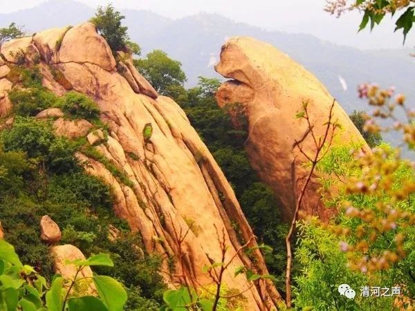 大山雖然挪開,小山雖然遷移,但他的慈愛卻永不離開,他平安的約也不遷