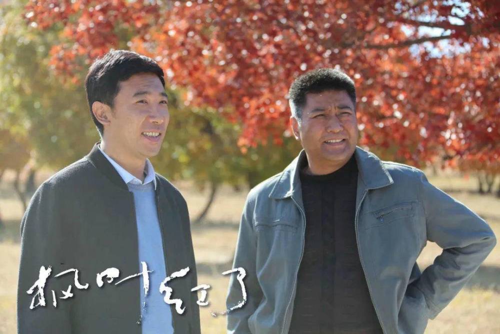 以家人之名|最新收视数据出炉：《以家人之名》被反超，《旗袍美探》仅排第6
