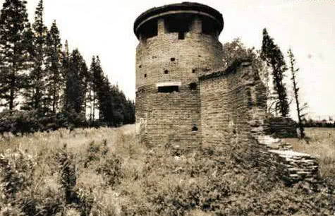 日军躲进碉堡,苏联士兵久攻不下,一中国老农路过:这有何难?