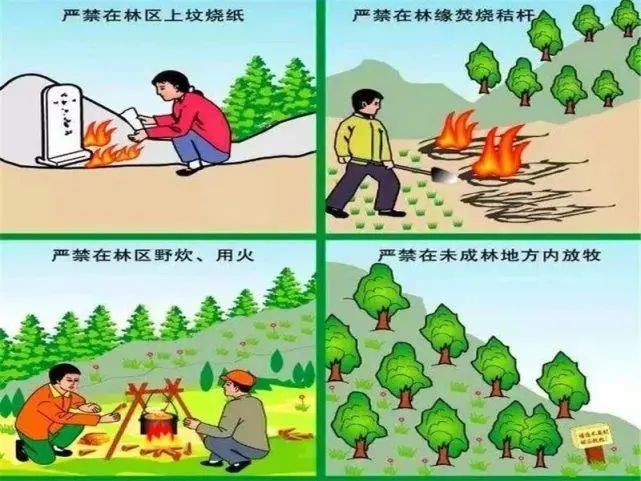 森林草原防火宣传图画图片