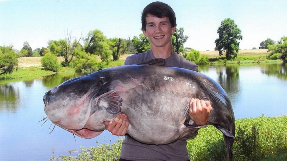 伦敦一便利店卖的鲶鱼真大272斤一斤进价10元