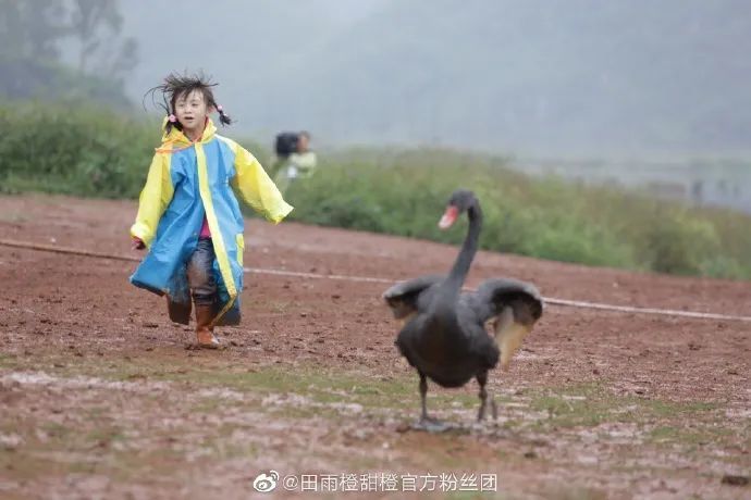 森碟|好想要森碟这样的女儿，哦，我养不起