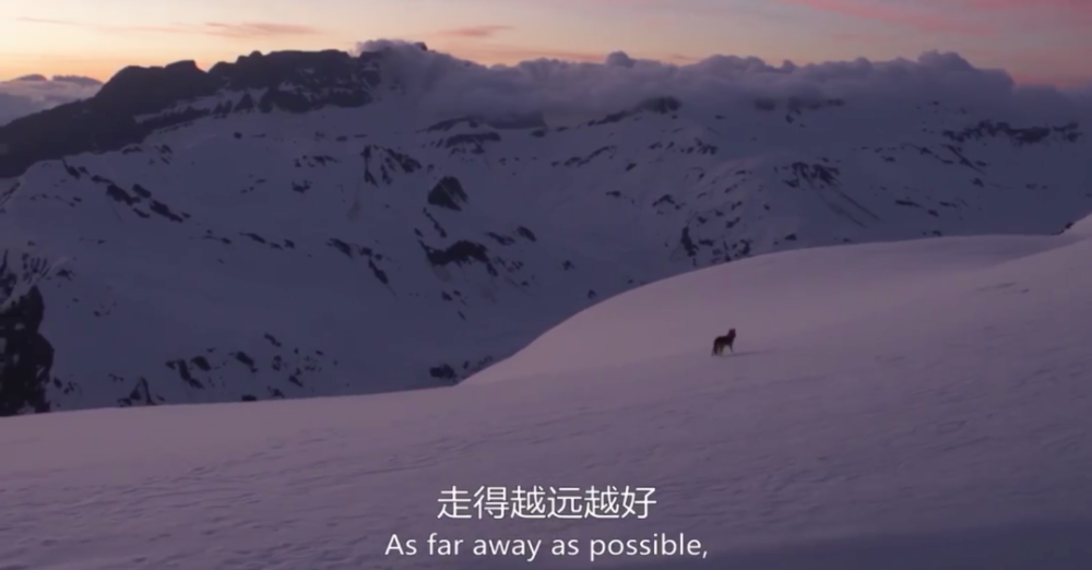 阿尔卑斯山脉|这9.6一出，多少人要汗颜