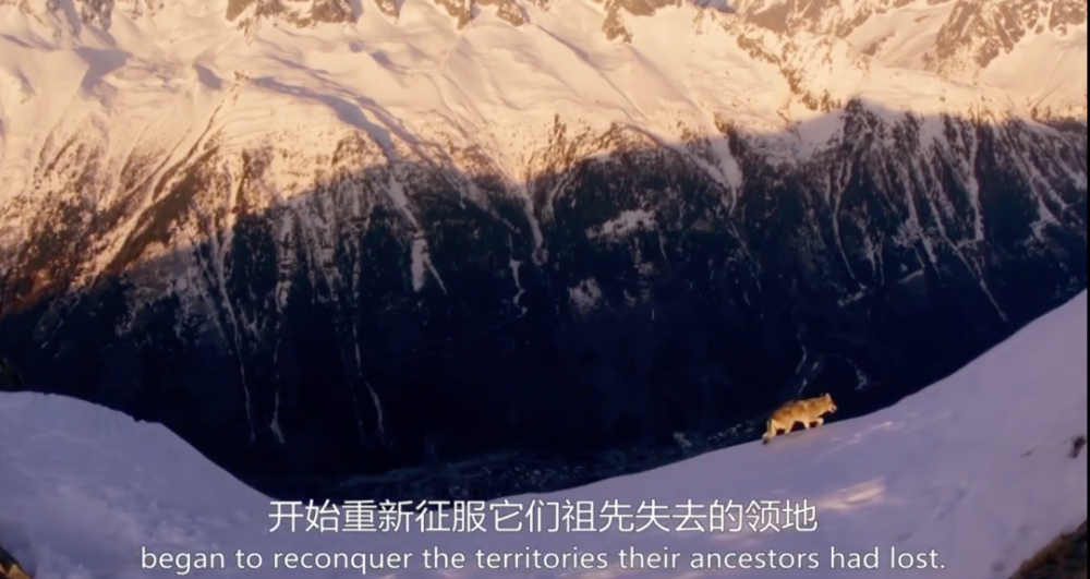 阿尔卑斯山脉|这9.6一出，多少人要汗颜