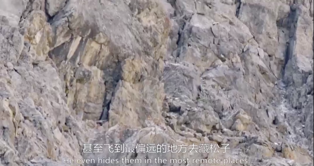 阿尔卑斯山脉|这9.6一出，多少人要汗颜
