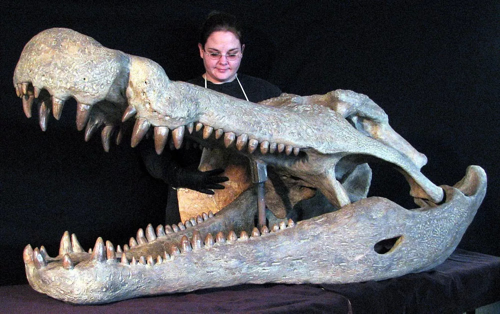 霸王龙|连霸王龙都怕的史前巨鳄真的存在吗？