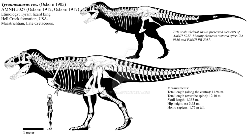 霸王龙|连霸王龙都怕的史前巨鳄真的存在吗？