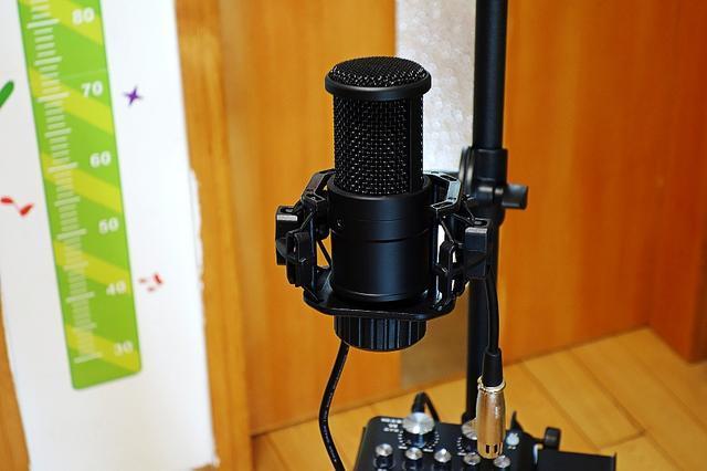 麦克风防震支架安装效果图