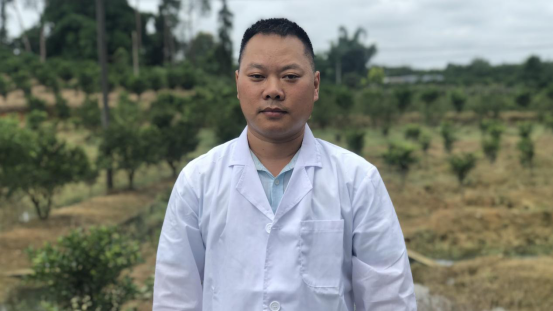 柑橘|柑桔树遭遇洪涝后的处理措施