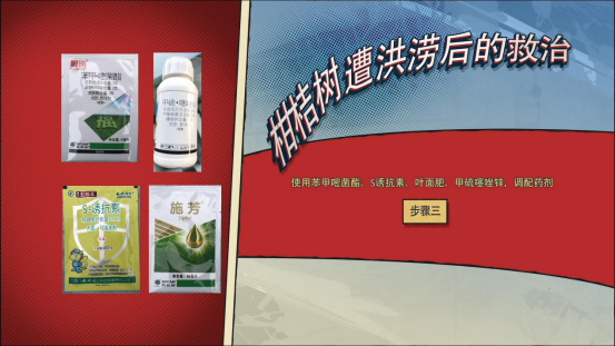 柑橘|柑桔树遭遇洪涝后的处理措施