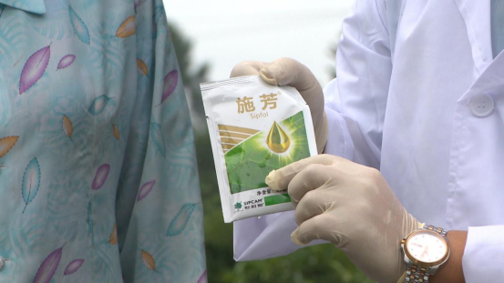 柑橘|柑桔树遭遇洪涝后的处理措施