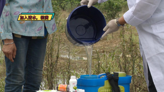 柑橘|柑桔树遭遇洪涝后的处理措施