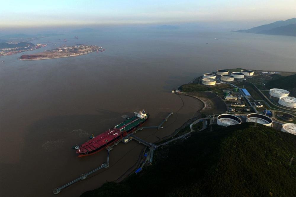 海岸线|在我国所有城市中，哪个城市拥有的“海岸线”长度最长？