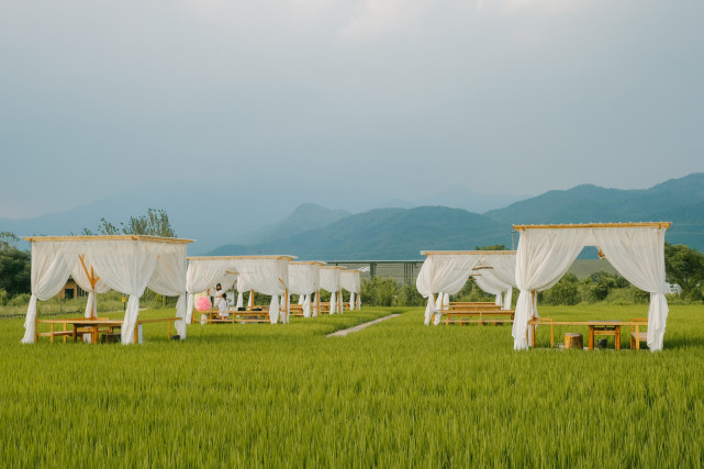 (来自:梦龙影像)这里有民宿,咖啡厅,稻草屋,荷塘,稻田,水鸭,露天蔡