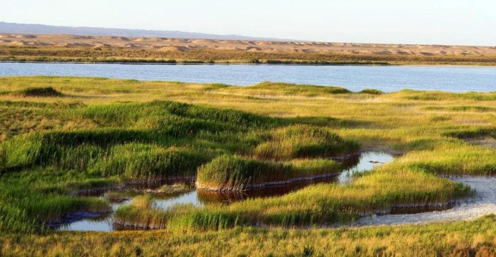 敦煌西湖国家级自然保护区湿地