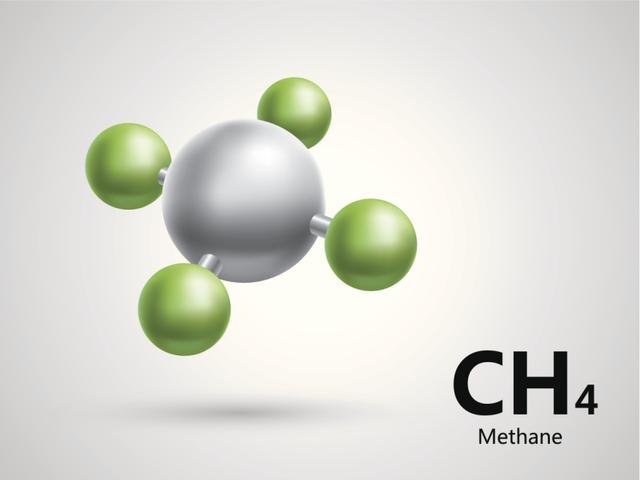 氧气|生命离开氧气就不能活了吗？氢气告诉你，No