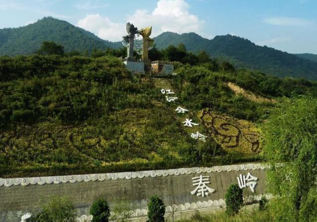 细鳞太攀蛇|自然界中最毒的蛇是哪个蛇种？有何依据？