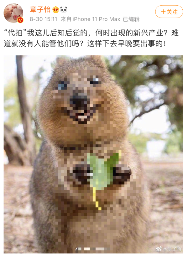 蹭热度|好笑吧？她还需要蹭热度？