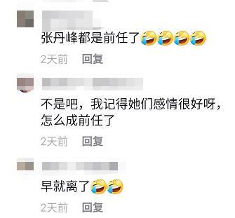 张丹峰|又被疑婚变，张丹峰晒视频表白粉丝不提洪欣，两人已有半年没互动