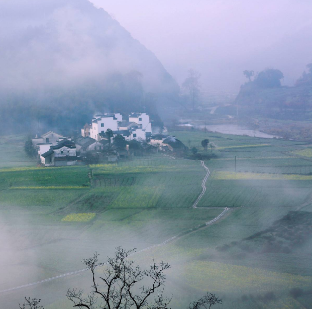 莲花书院|闻语 竹露滴阶声 空庭清趣
