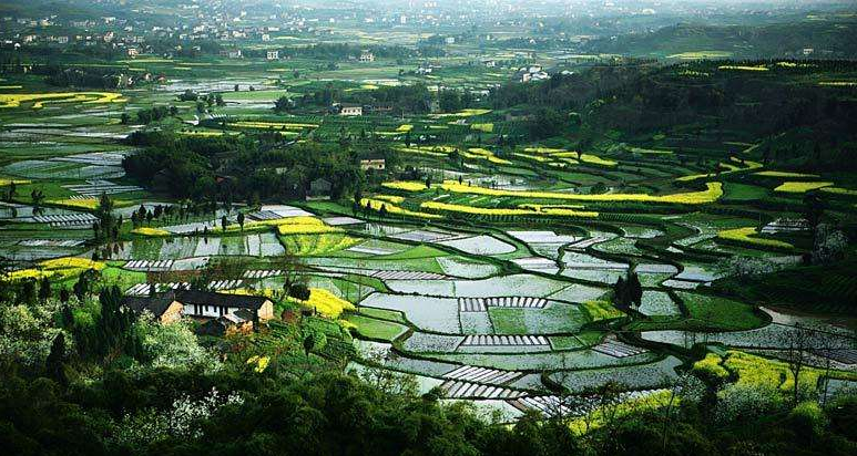 莲花书院|闻语 竹露滴阶声 空庭清趣