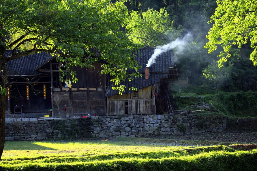 莲花书院|闻语 竹露滴阶声 空庭清趣