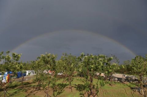 吊车|吊车吊起双彩虹