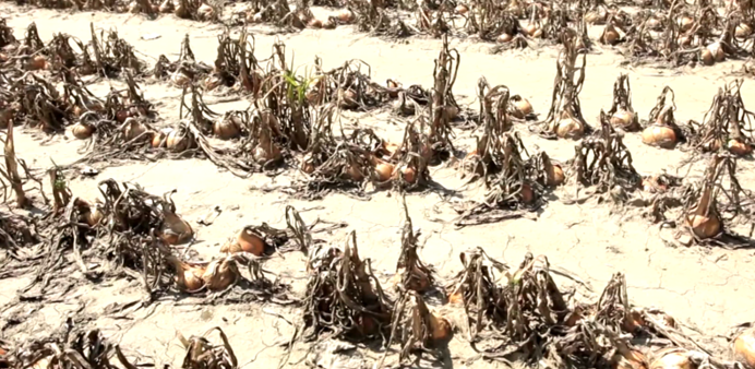 地球|毁灭世界的十种方式之二，“无从防备的末日”