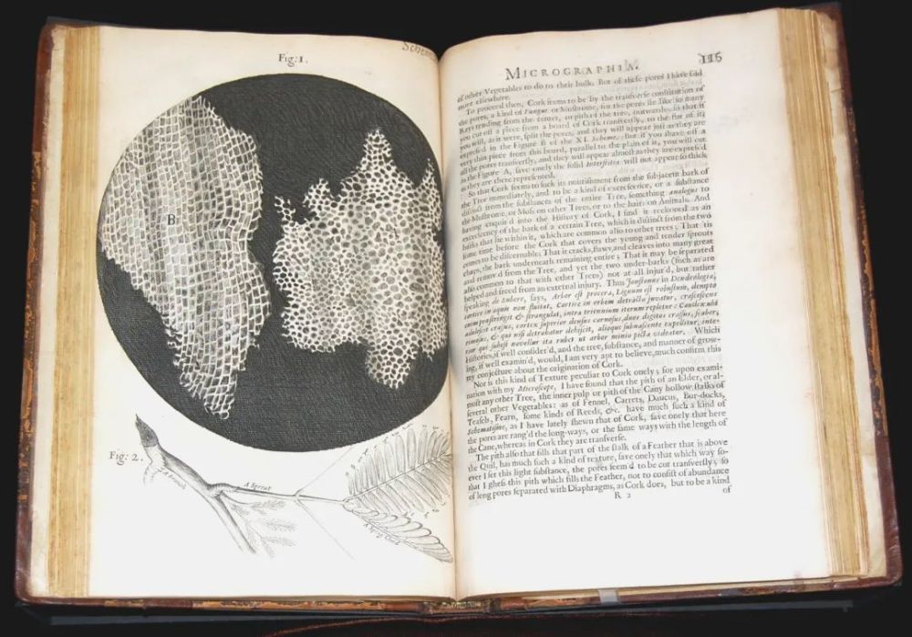 (图片来自网络)胡克的《micrographia》封面及书中部