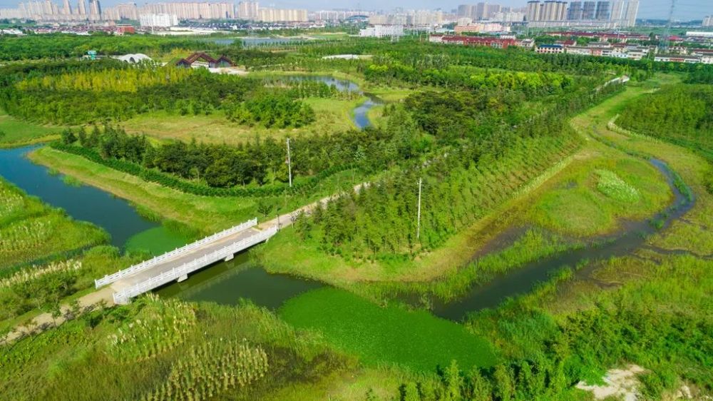 惊艳泰兴生态绿心城市绿肺