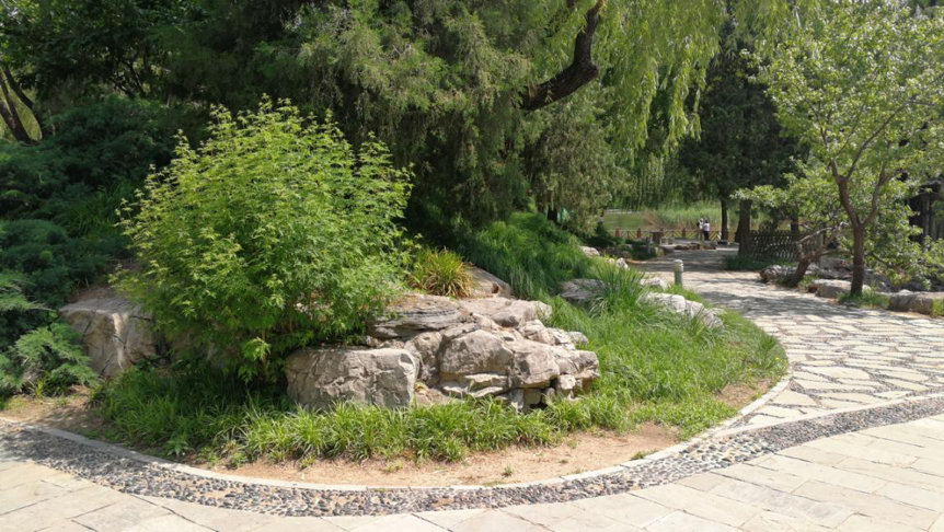 城市公园|精益求精的北京城市公园园林植物景观设计