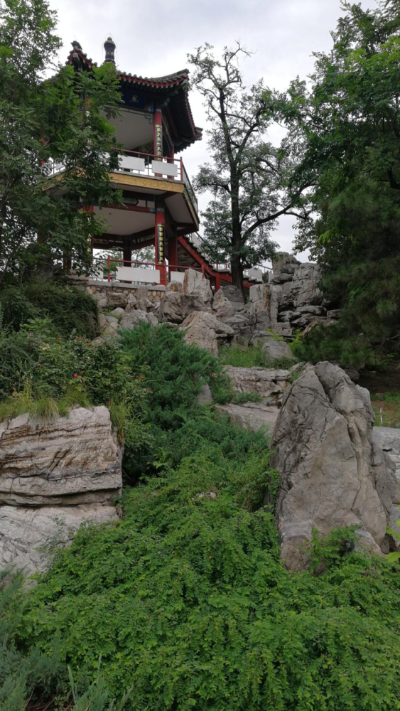 城市公园|精益求精的北京城市公园园林植物景观设计