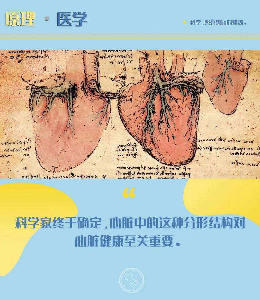 心脏|持续了500年的未解之谜，终于被解开了