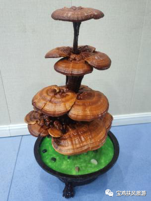 青铜器|2020年中国特色旅游商品大赛——扶风参赛作品