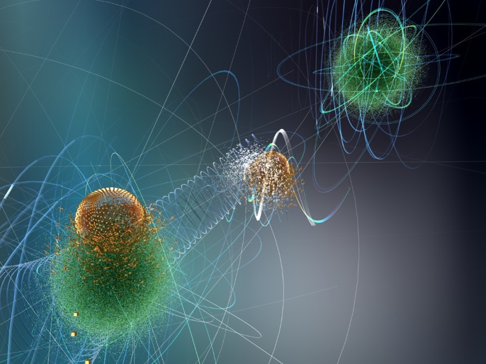 核辐射|核辐射会对生物体造成怎样的伤害？