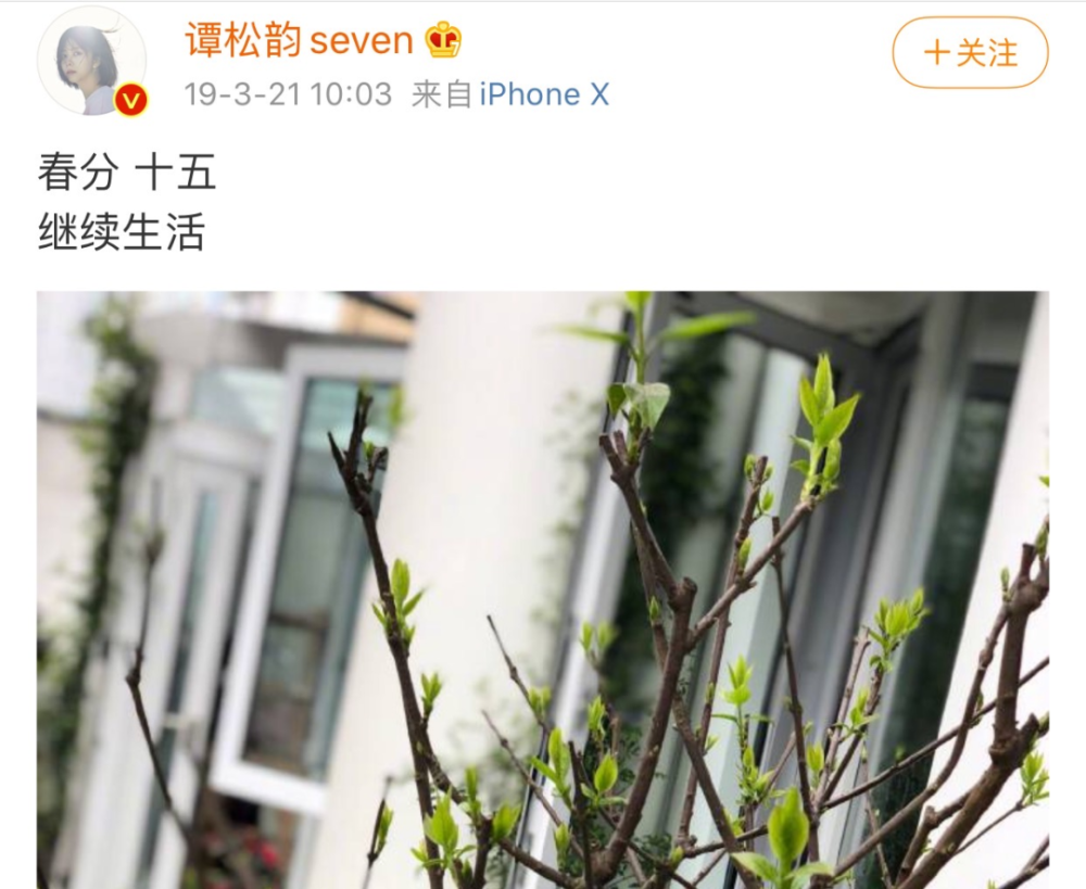李尖尖|1年零8月，谭松韵你怎么熬过来的？希望你李尖尖能治愈到你