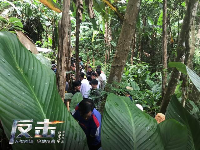 赵文卓|赵文卓《反击》强势杀青，电影风格酷似《战狼》，网友吐槽声多