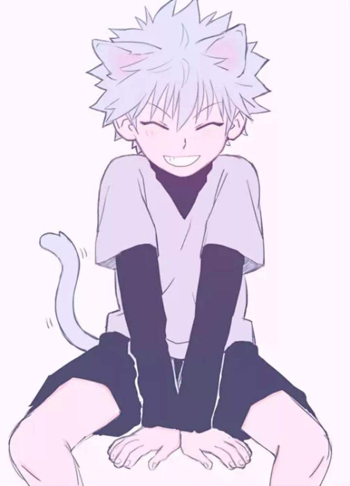 那些年我们追过的猫系少年